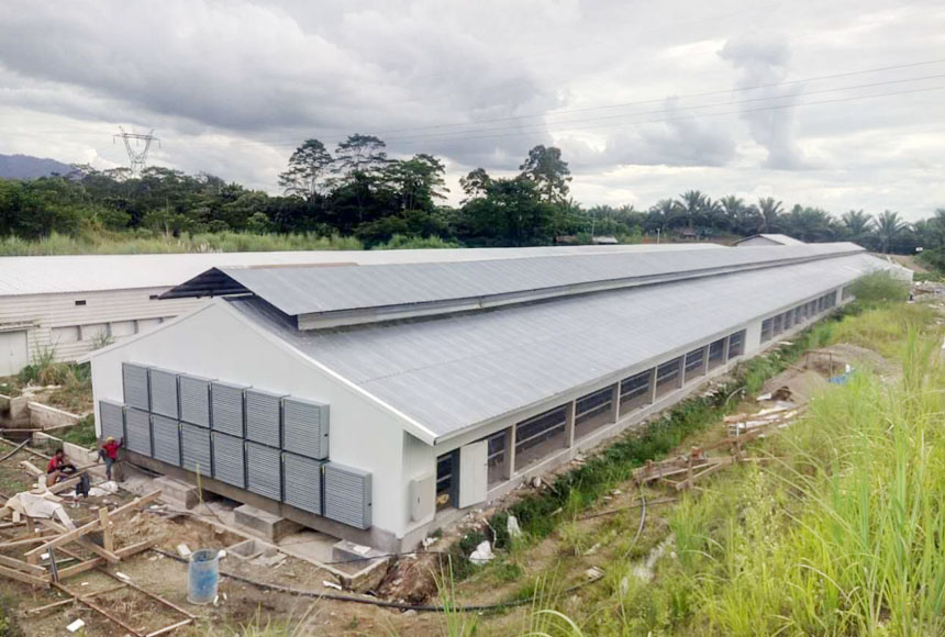 CHICKEN HOUSE IN THE PHILIPPINES