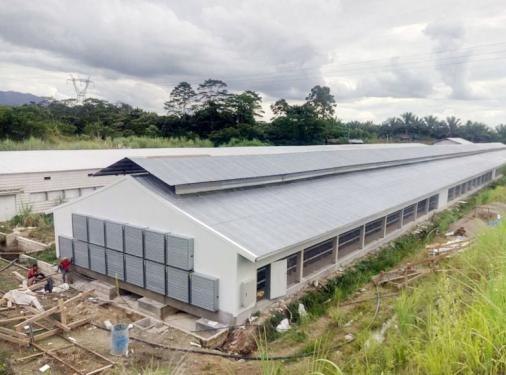  CHICKEN HOUSE IN THE PHILIPPINES