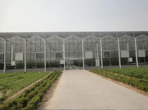  Intelligent glass solar panel greenhouse