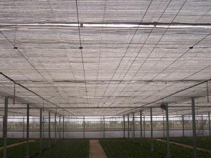  Intelligent glass solar panel greenhouse