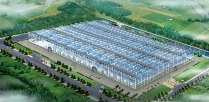 Qianchengxin's Main Products Plastic film arched greenhouse